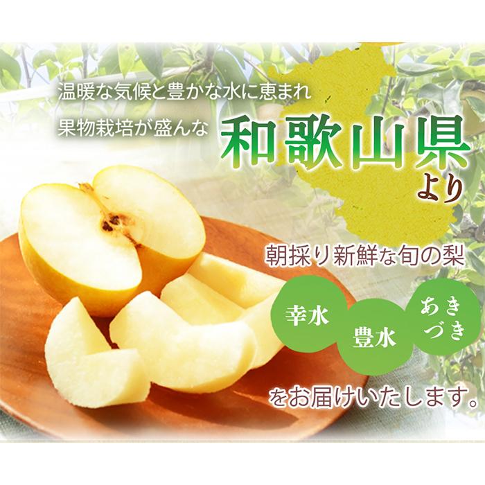 【ふるさと納税】梨 約2kg 化粧箱入 紀州和歌山 かつらぎ産［2026年8月中旬以降発送予定］［UT103］ サムネイル2