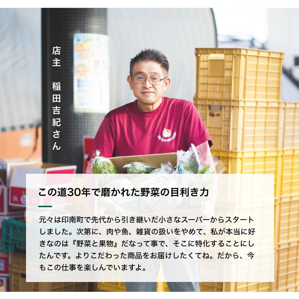 【ふるさと納税】旬の新鮮野菜詰め合わせ 8種以上【野菜セット】 | 和歌山県 印南町 和歌山 野菜 季節の野菜 季節の果物 セット 産地直送 新鮮 野菜農家 季節 サラダ やさい 送料無料 詰め合わせ おまかせ 返礼品 支援 楽天ふるさと 納税 産直 国産 お楽しみ おまかせセット サムネイル2
