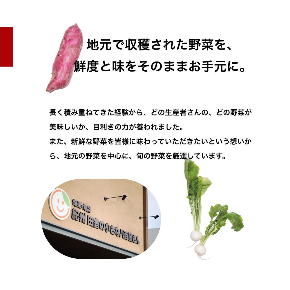 【ふるさと納税】旬の新鮮野菜詰め合わせ 8種以上【野菜セット】 | 和歌山県 印南町 和歌山 野菜 季節の野菜 季節の果物 セット 産地直送 新鮮 野菜農家 季節 サラダ やさい 送料無料 詰め合わせ おまかせ 返礼品 支援 楽天ふるさと 納税 産直 国産 お楽しみ おまかせセット サムネイル3