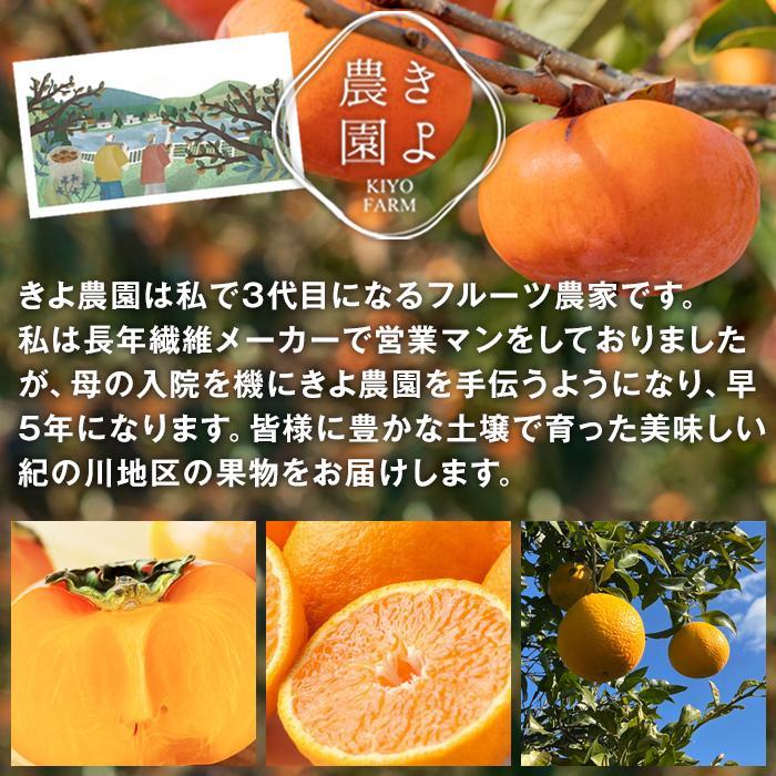 【ふるさと納税】不知火 希少な樹上完熟！ 秀品大玉 6個入 (約2kg)　【2026年2月下旬頃～4月中旬頃まで発送】【KT2】 | フルーツ 果物 くだもの 食品 人気 おすすめ 送料無料 サムネイル3