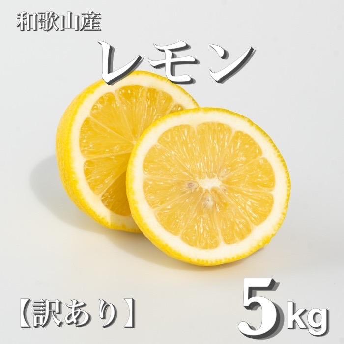 和歌山産 レモン 5kg ［訳あり］ ［US1］ | レモン 柑橘 フルーツ 果物 くだもの 食品 人気 おすすめ 送料無料