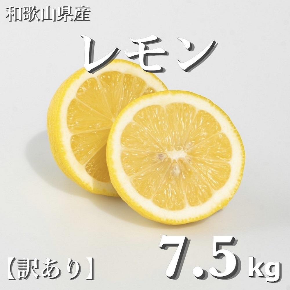 和歌山産 レモン 7.5kg ［訳あり］ ［US2］ | レモン 柑橘 フルーツ 果物 くだもの 食品 人気 おすすめ 送料無料