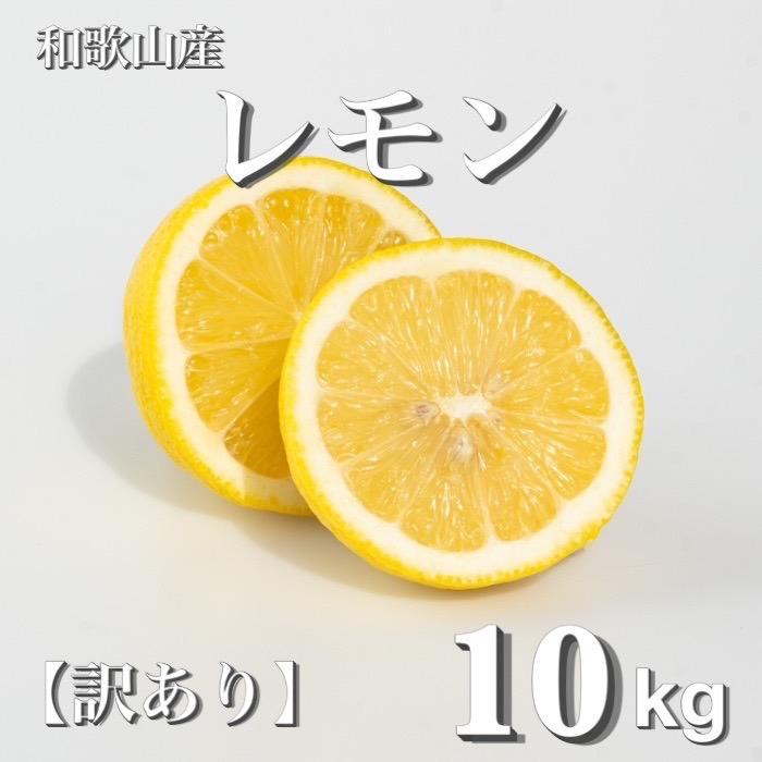 和歌山産 レモン 10kg ［訳あり］ ［US3］ | レモン 柑橘 フルーツ 果物 くだもの 食品 人気 おすすめ 送料無料