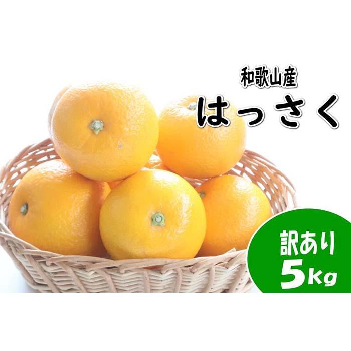 【訳あり・ご家庭用】はっさく（八朔）約5kg 和歌山産 | フルーツ 果物 くだもの 食品 人気 おすすめ 送料無料
