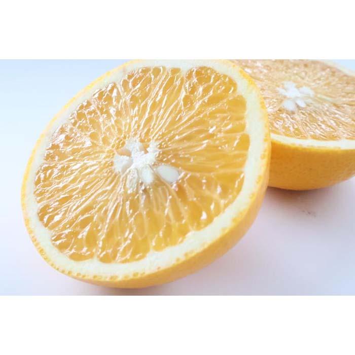 【ふるさと納税】【訳あり・ご家庭用】はっさく（八朔）約5kg 和歌山産 | フルーツ 果物 くだもの 食品 人気 おすすめ 送料無料 サムネイル3