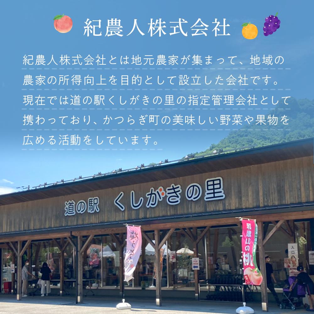 【ふるさと納税】桃 極上秀品 約2kg 6～8個入［先行予約］［2026年6月下旬頃から順次発送］こだわり農家厳選［KG2］ | もも フルーツ 果物 くだもの 食品 人気 おすすめ 送料無料 サムネイル2