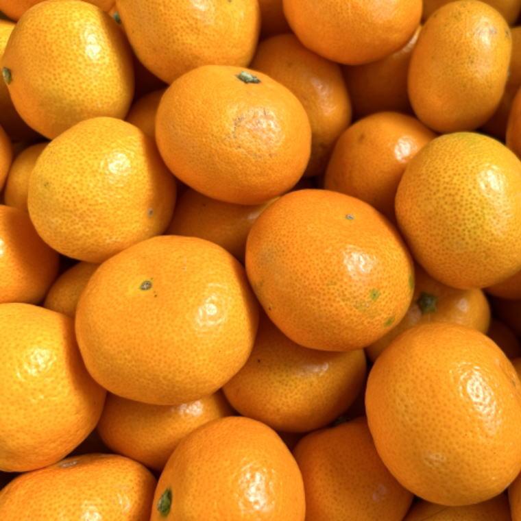 【ふるさと納税】エコファーマーのこだわり有田みかん5kg（サイズ混合）★2025年11月中旬頃より順次発送 | 和歌山県 印南町 和歌山 返礼品 楽天ふるさと 納税 お取り寄せグルメ 取り寄せ グルメ フルーツ 果物 くだもの みかん ミカン 蜜柑 柑橘 柑橘類 かんきつ 有田みかん サムネイル2