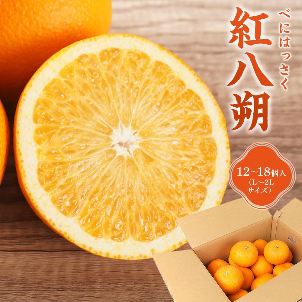 先行予約！希少な紅はっさく 12～18個入り（L～2Lサイズ）［2026年1月中旬頃から発送］［KG9］ | はっさく フルーツ 果物 くだもの 食品 人気 おすすめ 送料無料