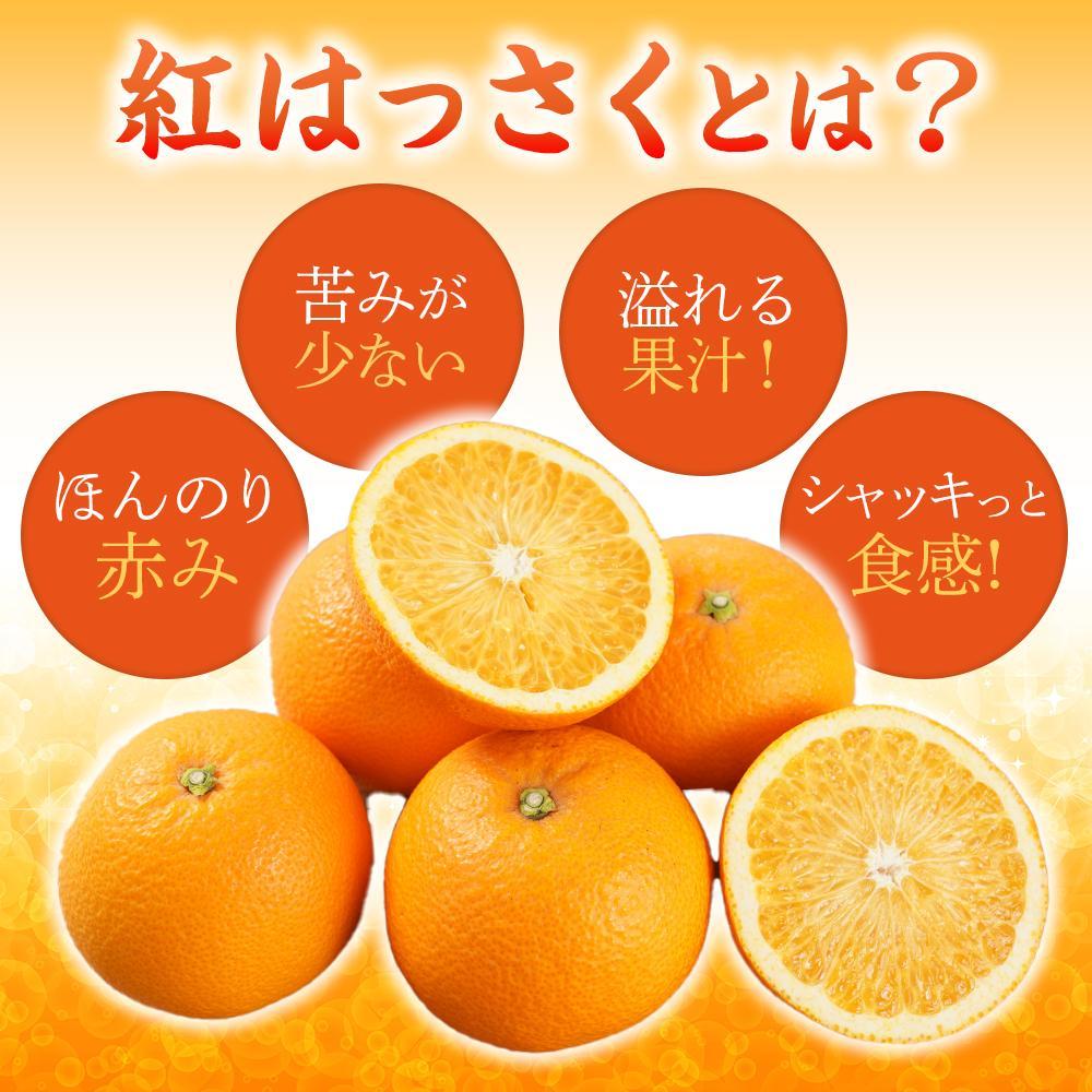 【ふるさと納税】先行予約！希少な紅はっさく 12～18個入り（L～2Lサイズ）［2026年1月中旬頃から発送］［KG9］ | はっさく フルーツ 果物 くだもの 食品 人気 おすすめ 送料無料 サムネイル2