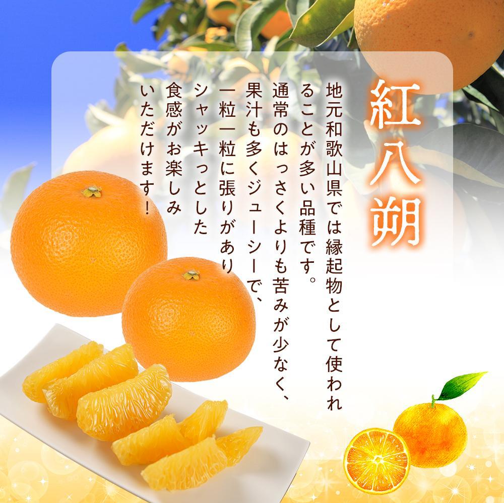 【ふるさと納税】先行予約！希少な紅はっさく 12～18個入り（L～2Lサイズ）［2026年1月中旬頃から発送］［KG9］ | はっさく フルーツ 果物 くだもの 食品 人気 おすすめ 送料無料 サムネイル3