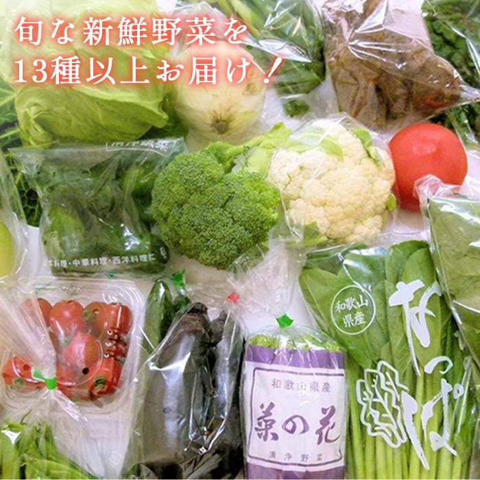 【ふるさと納税】旬の新鮮野菜セット 大満足な13種以上【野菜詰め合わせ】 | 野菜 やさい 食品 人気 おすすめ 送料無料 - 画像2