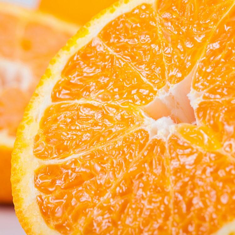 【ふるさと納税】有田育ちの濃厚不知火(ご家庭用) 約2.5kg［先行予約］［MS40］ | フルーツ 果物 くだもの 食品 人気 おすすめ 送料無料 サムネイル2