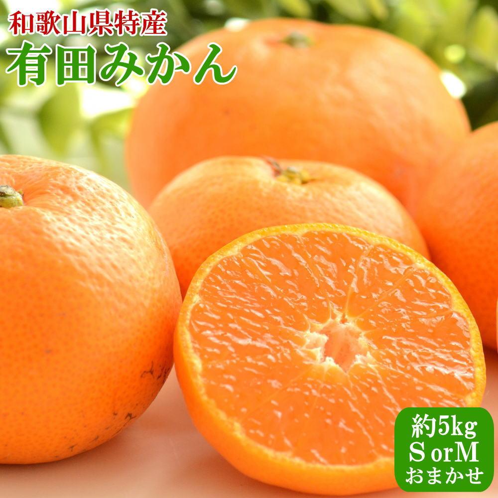 [秀品]和歌山有田みかん約5kg(SまたはMサイズ) ★2025年11月中旬頃より順次発送［TM97］ | 和歌山県 印南町 和歌山 返礼品 支援 楽天ふるさと 納税 お取り寄せグルメ フルーツ 果物 くだもの みかん ミカン 蜜柑 柑橘 柑橘類 かんきつ 有田みかん