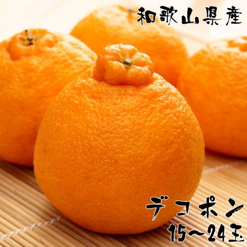 和歌山有田の濃厚デコポン 15～24玉 約5kg［先行予約］［MS78］ | フルーツ 果物 くだもの 食品 人気 おすすめ 送料無料