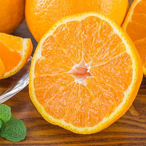 【ふるさと納税】和歌山有田の濃厚大玉デコポン 12～15玉 約5kg［先行予約］［MS79］ | フルーツ 果物 くだもの 食品 人気 おすすめ 送料無料 サムネイル2