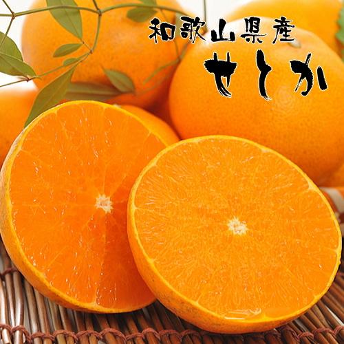 和歌山有田の濃厚せとか 約4～5kg ［先行予約］ | くだもの フルーツ 果実 果物 有田 みかん 和歌山　［MS80］ | フルーツ 果物 くだもの 食品 人気 おすすめ 送料無料