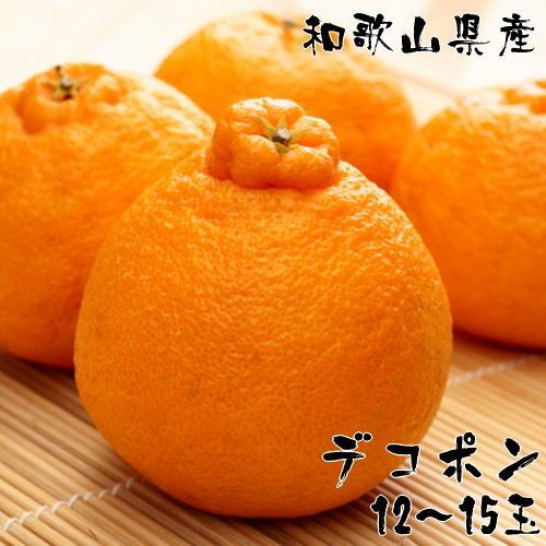 和歌山有田の濃厚大玉デコポン 12～15玉 約5kg［先行予約］［MS79］ | フルーツ 果物 くだもの 食品 人気 おすすめ 送料無料
