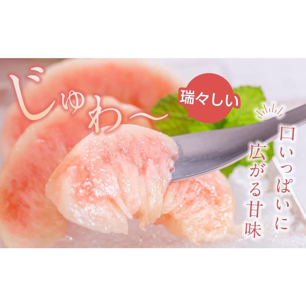 【ふるさと納税】先行販売！［モモ］ 白鳳　桃の王様！食べきりやすい3個入り［2026年6月下旬頃より順次発送］［秀品］こだわり農家厳選 ［KG17］ | もも フルーツ 果物 くだもの 食品 人気 おすすめ 送料無料 サムネイル3