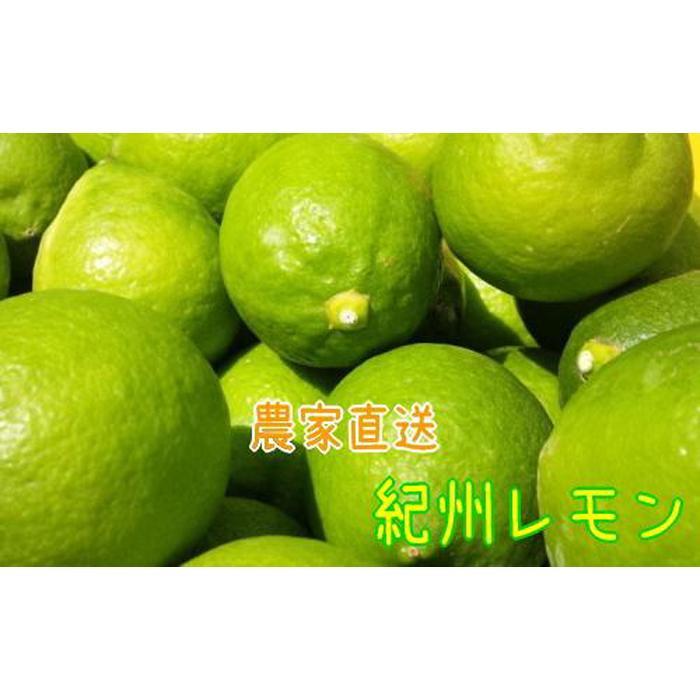 農家直送 紀州 レモン 約2kg【MS94】 | フルーツ 果物 くだもの 食品 人気 おすすめ 送料無料