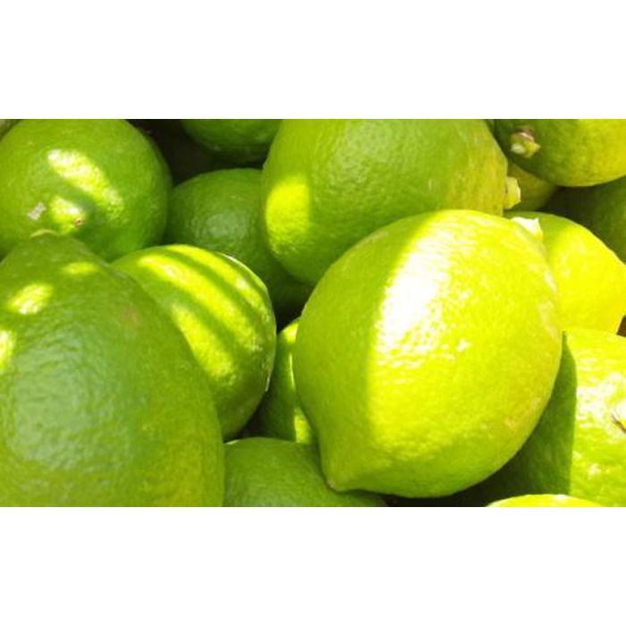 【ふるさと納税】農家直送 紀州 レモン 約2kg【MS94】 | フルーツ 果物 くだもの 食品 人気 おすすめ 送料無料 サムネイル2