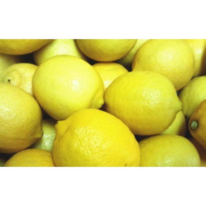 【ふるさと納税】農家直送 紀州 レモン 約2kg【MS94】 | フルーツ 果物 くだもの 食品 人気 おすすめ 送料無料 サムネイル3