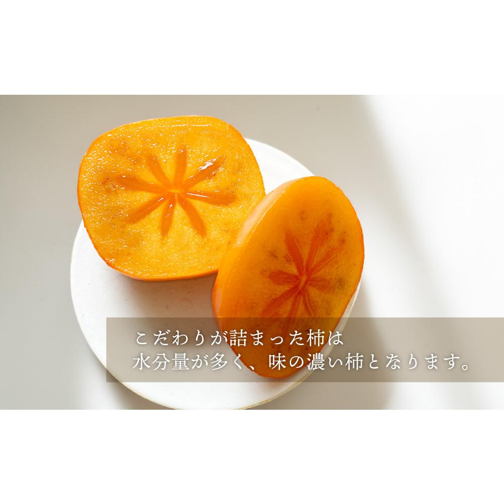 【ふるさと納税】柿 種無し 赤秀品 超大玉 1.8kg 5～6個 ［先行予約］［2026年9月末頃から発送］［KG4］ | 柿 かき フルーツ 果物 くだもの 食品 人気 おすすめ 送料無料 サムネイル3