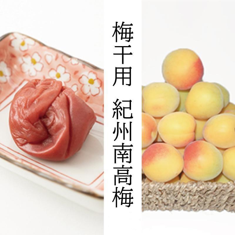 ［梅干・梅酒用］（2LまたはL－2Kg）熟南高梅＜2026年6月上旬～7月7日発送予定＞フルーツ 果物 くだもの 食品 人気 おすすめ 送料無料［ART04］