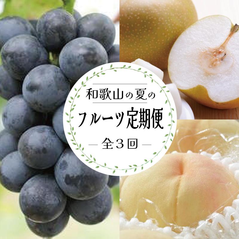 定期便全3回 【7月・8月・9月発送】 和歌山の夏のフルーツをお届け（桃・梨・たねなしピオーネ）【TM179】 | フルーツ 果物 くだもの 食品 人気 おすすめ 送料無料 定期便 産地直送