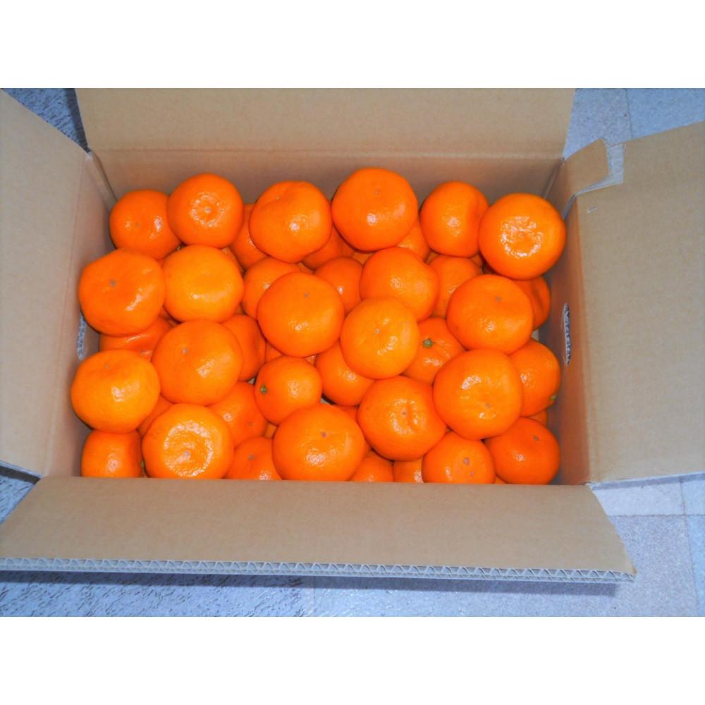 紀州有田みかん 秀品 約5kg サイズおまかせ（L・M・S）いずれかお届け［SL48］ | みかん 蜜柑 フルーツ 果物 くだもの 食品 人気 おすすめ 送料無料