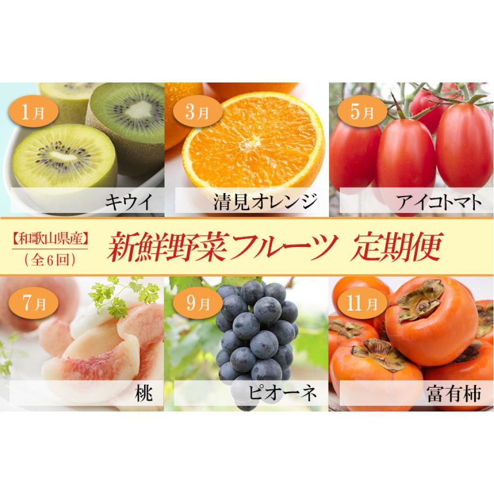 和歌山の旬の果実を 奇数月にお届け全6回定期便（キウイ・清見オレンジ・ミニトマト・桃・ピオーネ・富有柿）【TM62】 | フルーツ 果物 くだもの 食品 人気 おすすめ 送料無料