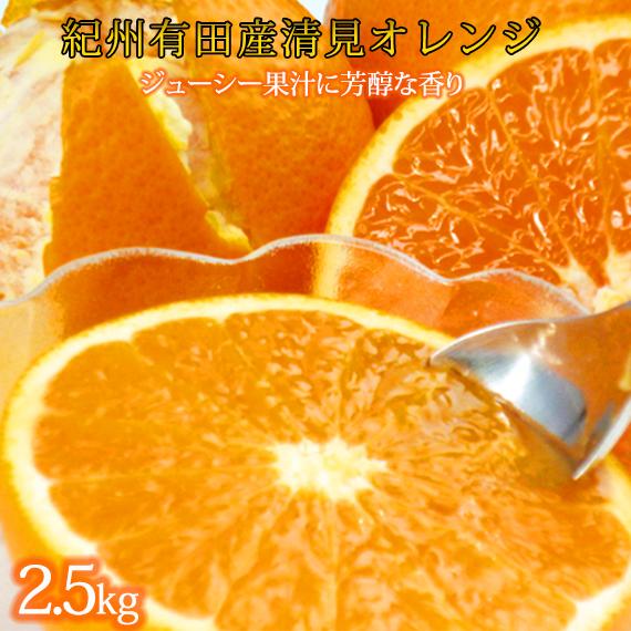 とにかくジューシー清見オレンジ 約2.5kg［2026年3月下旬以降発送］［先行予約］［UT131］ | フルーツ 果物 くだもの 食品 人気 おすすめ 産地直送 送料無料