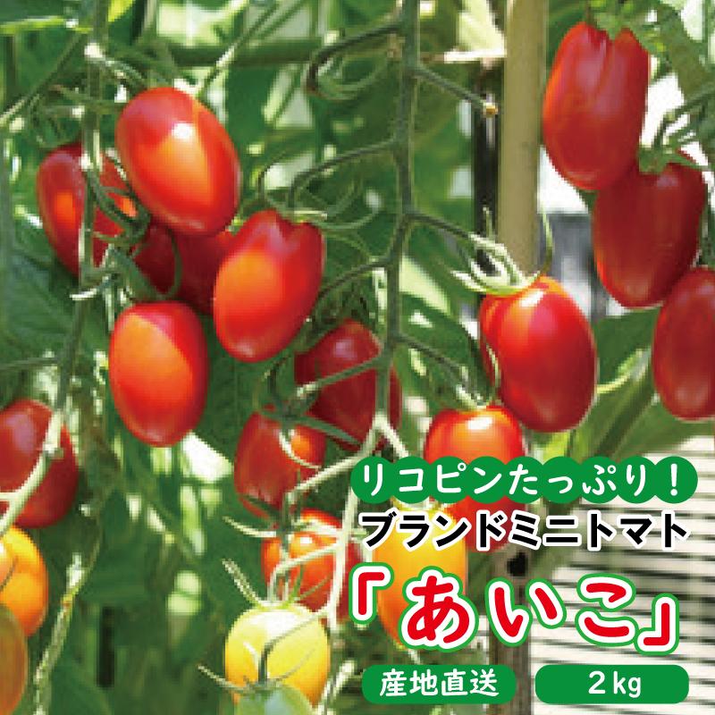高糖度完熟ミニトマト 約2kg 【あいこ】