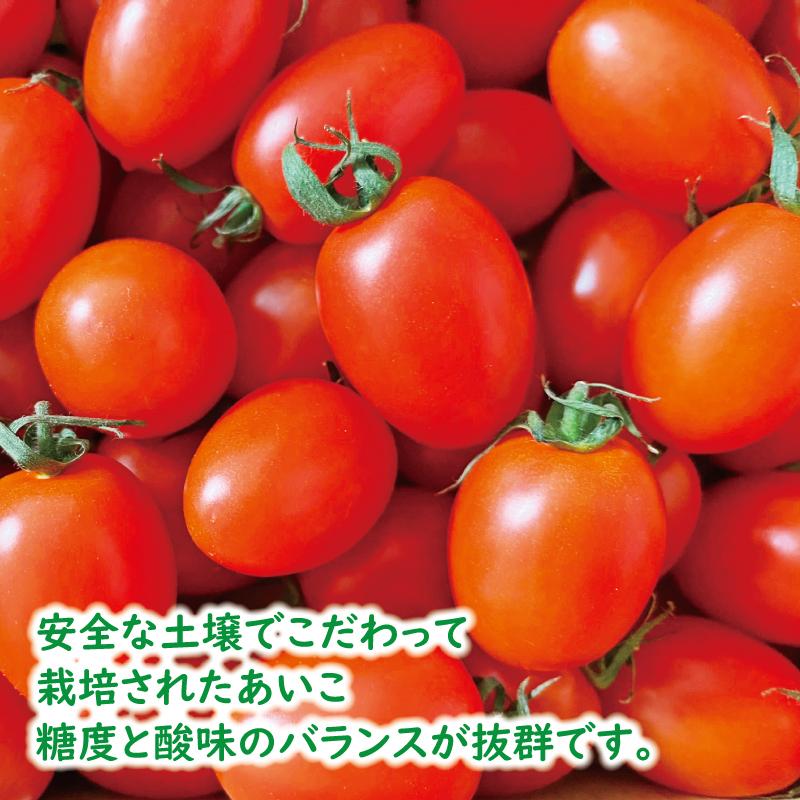 【ふるさと納税】高糖度完熟ミニトマト 約2kg 【あいこ】 - 画像2