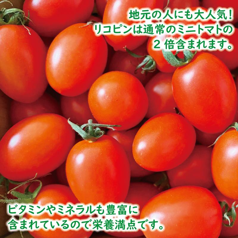 【ふるさと納税】高糖度完熟ミニトマト 約2kg 【あいこ】 - 画像3