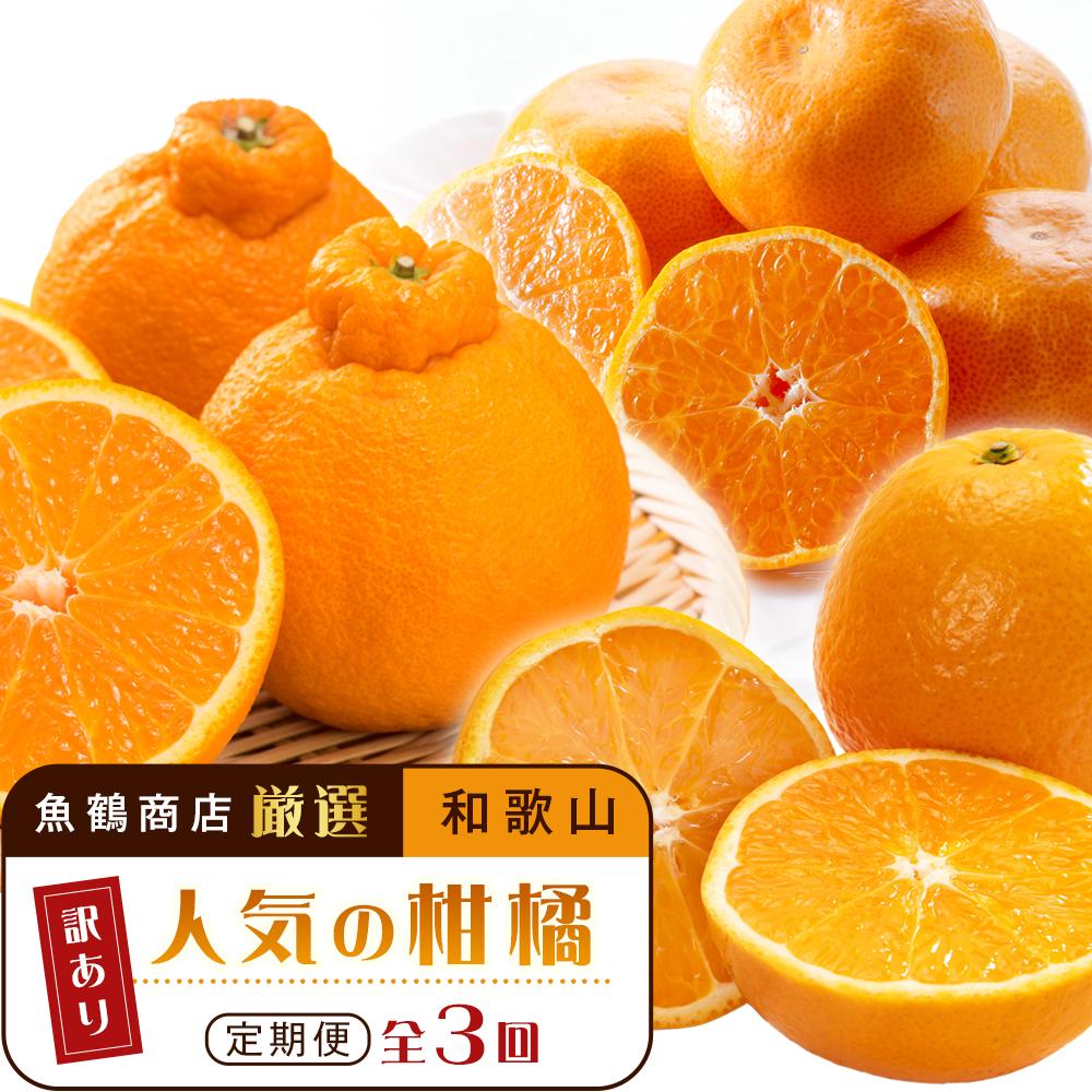 【魚鶴商店厳選】和歌山人気の柑橘ご家庭用・訳あり定期便（みかん・不知火・清見オレンジ）【定期便全3回】【UT117】 | 和歌山県 印南町 和歌山 返礼品 支援 楽天ふるさと 納税 フルーツ 果物 くだもの みかん