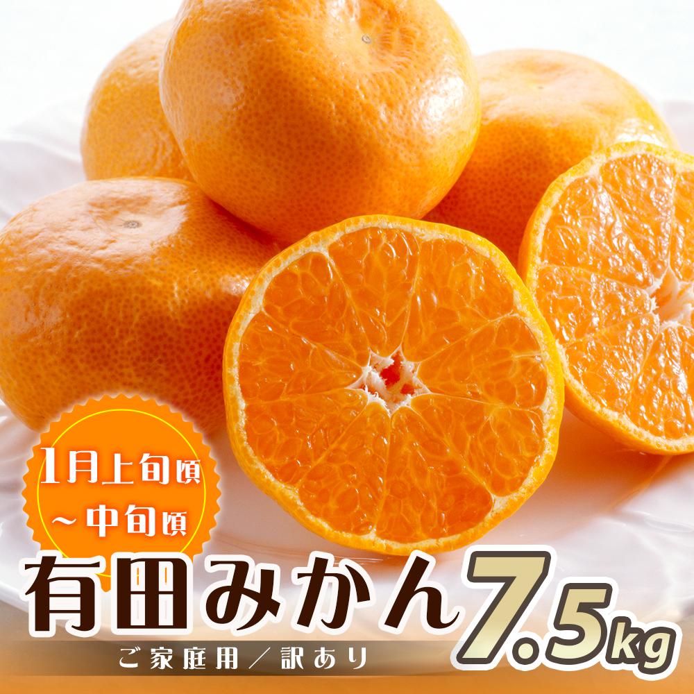 【ふるさと納税】【魚鶴商店厳選】和歌山人気の柑橘ご家庭用・訳あり定期便（みかん・不知火・清見オレンジ）【定期便全3回】【UT117】 | 和歌山県 印南町 和歌山 返礼品 支援 楽天ふるさと 納税 フルーツ 果物 くだもの みかん サムネイル2