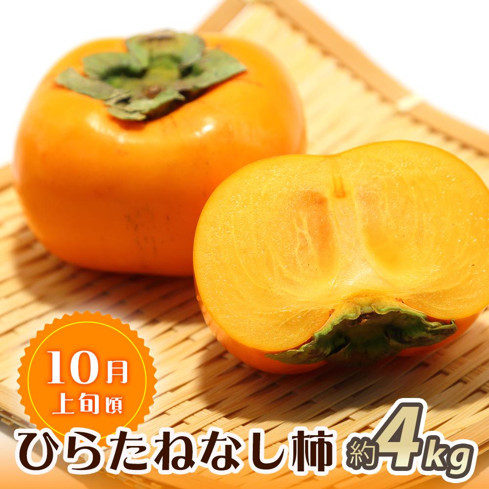 【ふるさと納税】【魚鶴商店厳選】和歌山人気のフルーツ定期便（柿・みかん）【定期便全3回】【UT115】 | 和歌山県 印南町 和歌山 返礼品 支援 楽天ふるさと 納税 フルーツ 果物 くだもの みかん サムネイル2