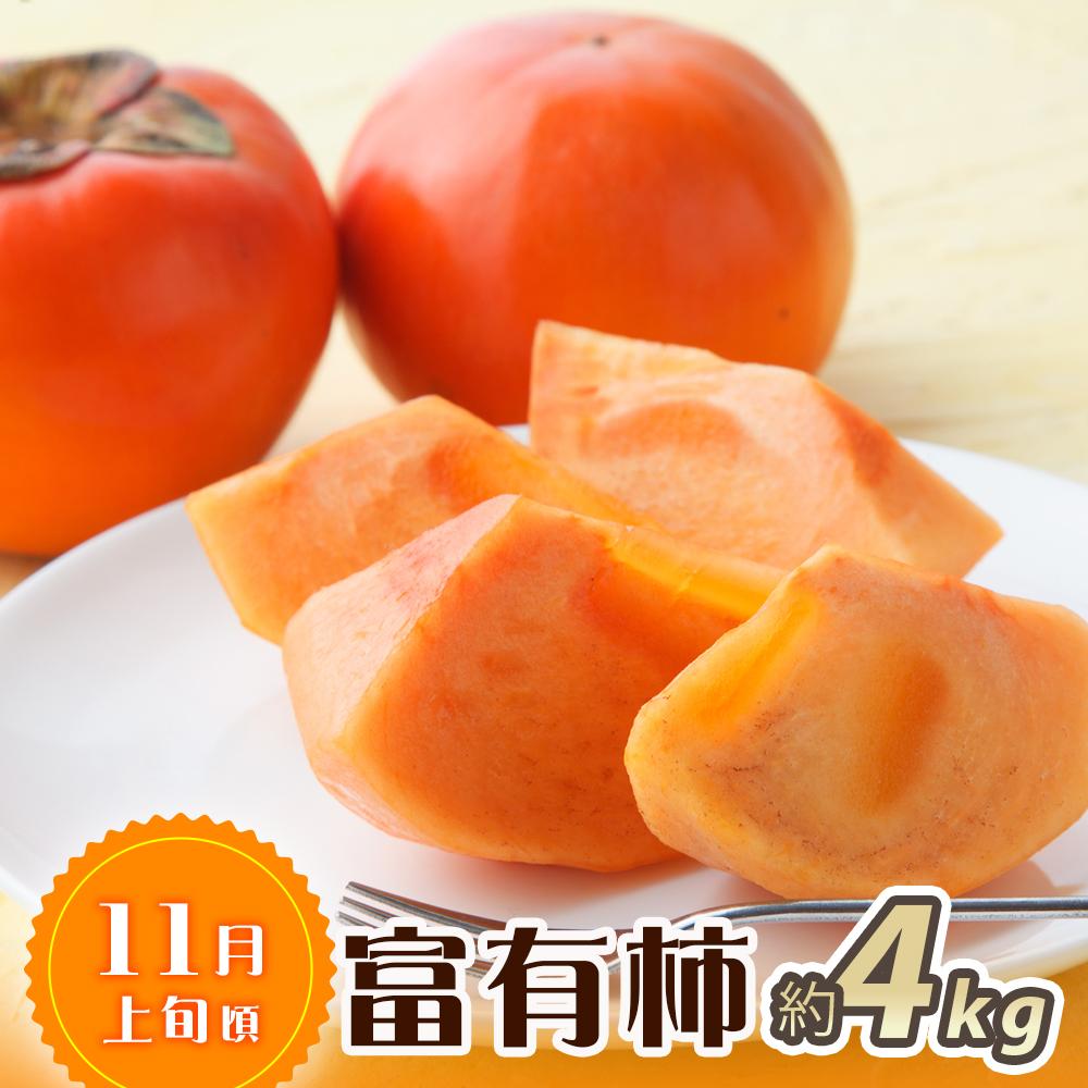 【ふるさと納税】【魚鶴商店厳選】和歌山人気のフルーツ定期便（柿・みかん）【定期便全3回】【UT115】 | 和歌山県 印南町 和歌山 返礼品 支援 楽天ふるさと 納税 フルーツ 果物 くだもの みかん サムネイル3