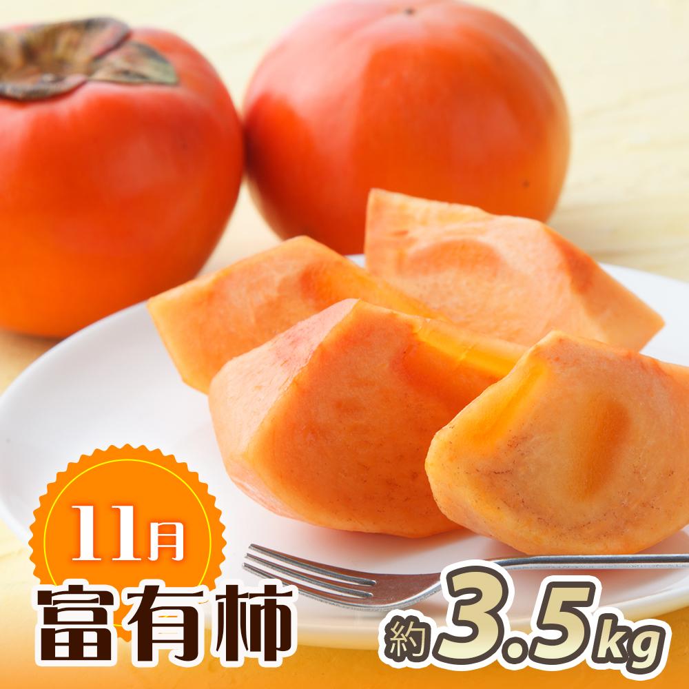 【ふるさと納税】【10・11・12月 全3回】和歌山産 みかんと柿のお楽しみ 定期便 【魚鶴商店】【UT111】 | フルーツ 果物 くだもの 食品 人気 おすすめ 送料無料 サムネイル3