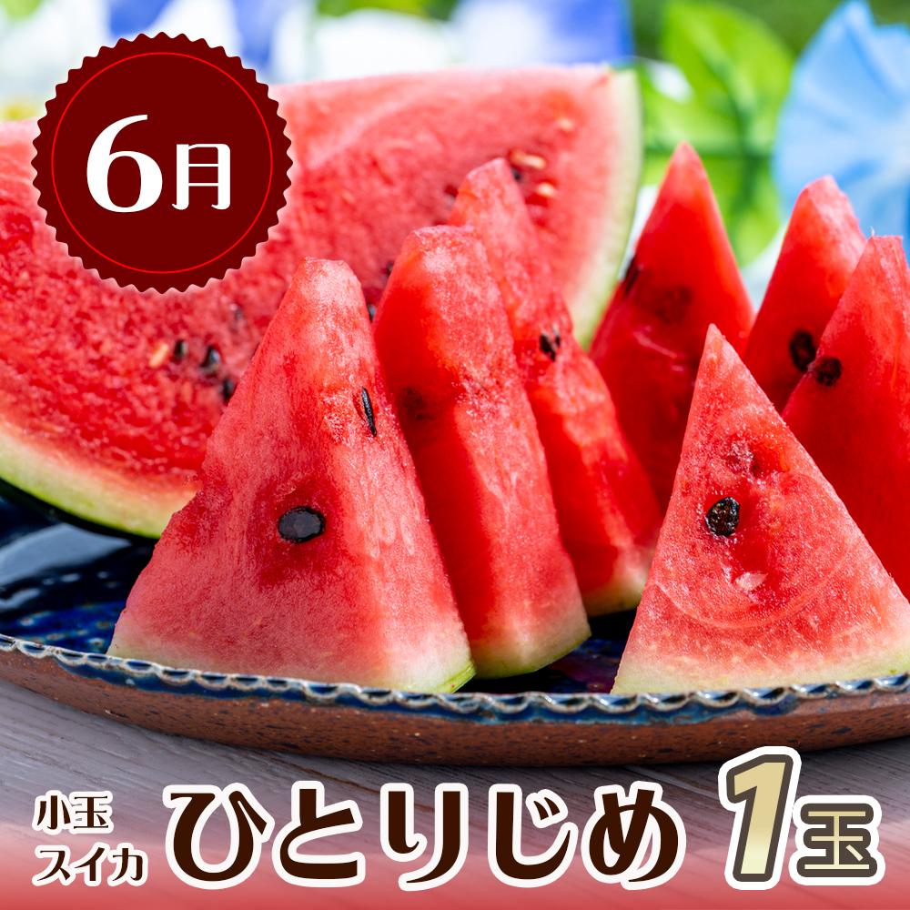 【ふるさと納税】【6・8・10・12月 全4回】和歌山産 旬のフルーツ お楽しみ 定期便 【魚鶴商店】【UT108】 | フルーツ 果物 くだもの 食品 人気 おすすめ 送料無料 サムネイル2