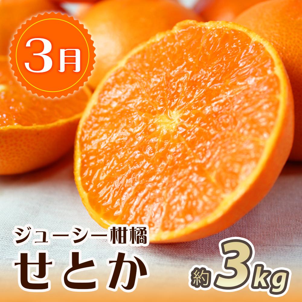 【ふるさと納税】【3・7・11月 全3回】紀州和歌山産旬のフルーツセット（せとか・桃・富有柿） 定期便 【魚鶴商店】【UT72】 | フルーツ 果物 くだもの 食品 人気 おすすめ 送料無料 サムネイル2