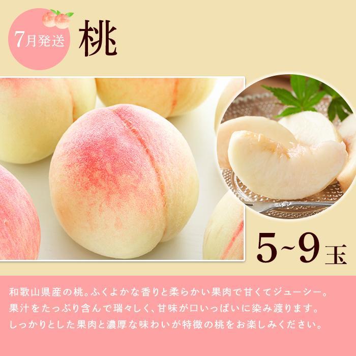 【ふるさと納税】【全3回】和歌山厳選フルーツ定期便（ いちご 桃 シャインマスカット ）［MG16］ | いちご シャインマスカット もも フルーツ 果物 くだもの 食品 人気 おすすめ 送料無料 定期便 サムネイル3