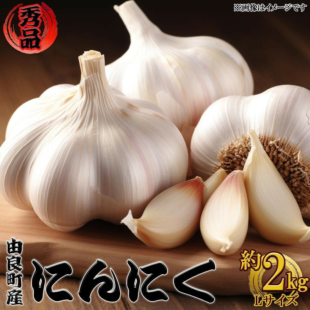 由良町産にんにく 秀品 Lサイズ 約2kg(1kg×2)【SL19】