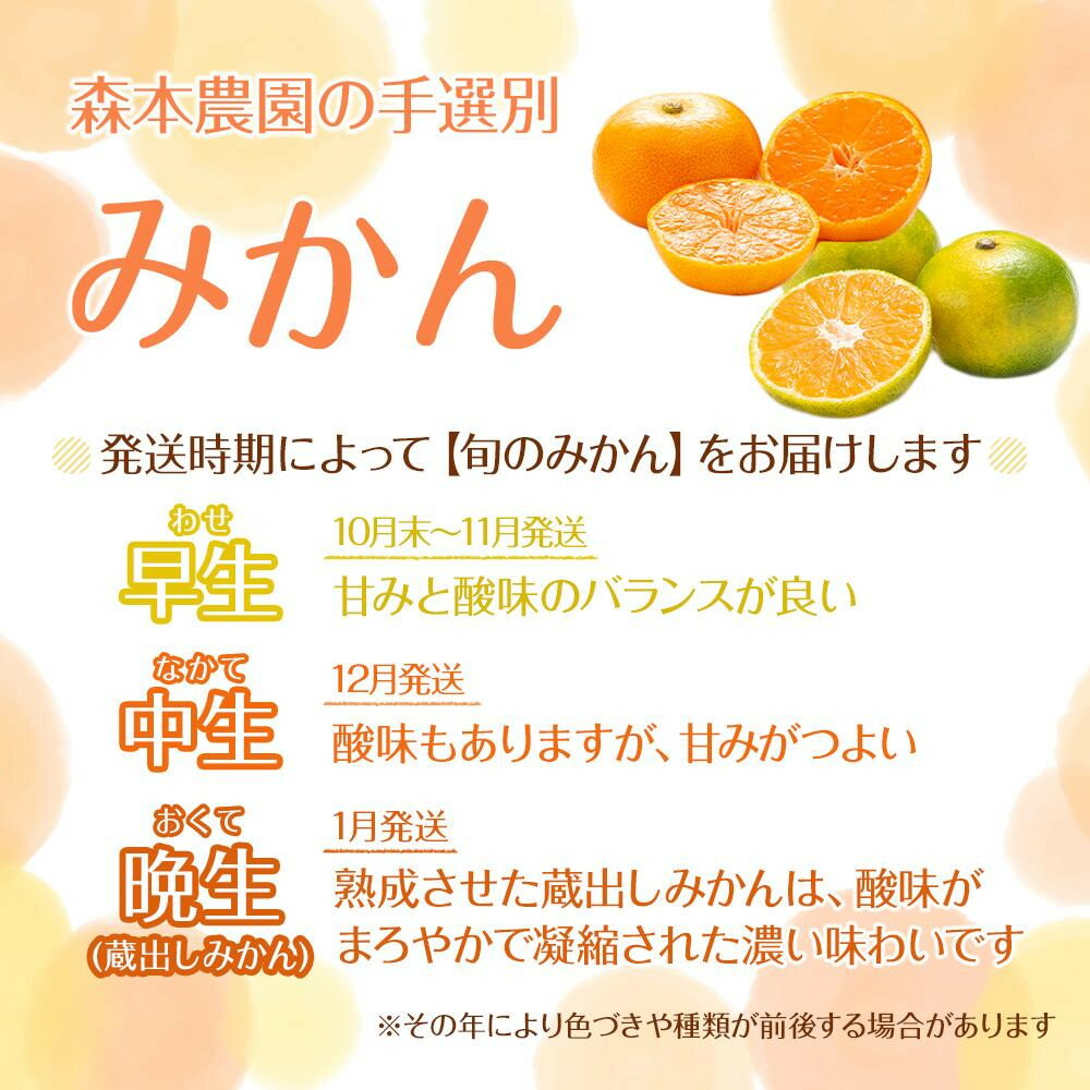 【ふるさと納税】【選べる容量・サイズ】 先行予約 訳あり 森本農園の手選別 みかん 2kg～10kg 和歌山県産 ［北海道・沖縄・離島配送不可］ | 訳あり 規格外 みかん わけあり 柑橘 果物 フルーツ 糖度 甘い 濃厚 ジューシー ふるさと納税　印南町　送料無料 サムネイル2