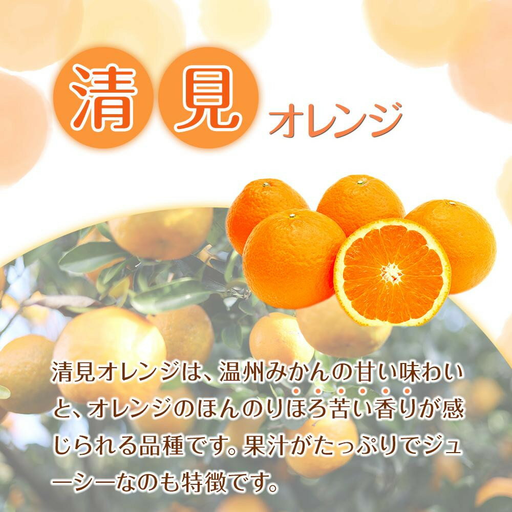 【ふるさと納税】【選べる容量・サイズ】 先行予約 訳あり 森本農園の手選別 清見オレンジ2kg～10kg 和歌山県産 サイズ混合 ［北海道・沖縄・離島配送不可］ | みかん 蜜柑 フルーツ 果物 くだもの 食品 人気 おすすめ 送料無料 サムネイル2