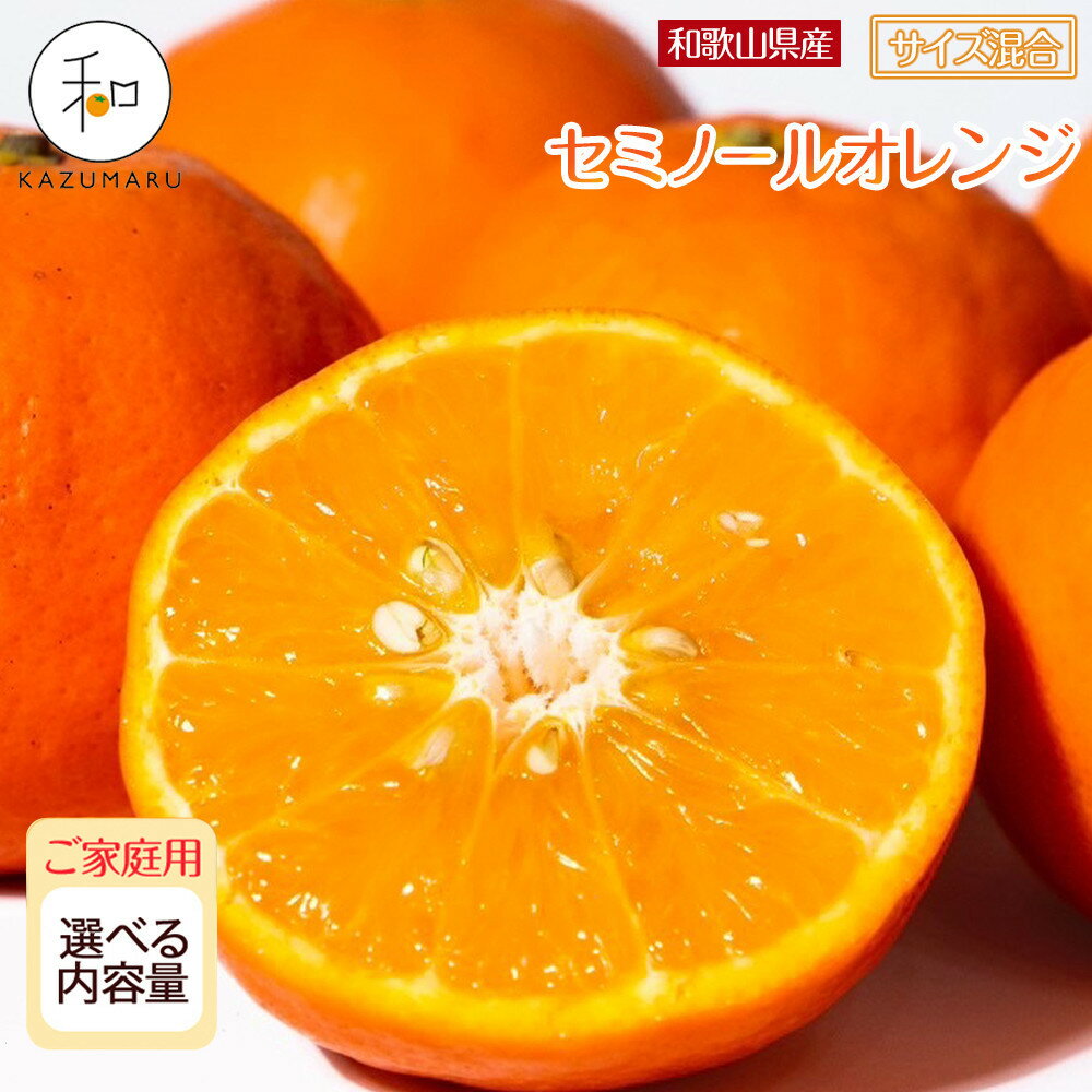 ［先行予約］家庭用 森本農園の手選別 セミノールオレンジ 4.5kg～10kg 和歌山県産 サイズ混合 ［北海道・沖縄・離島配送不可］ | みかん 蜜柑 フルーツ 果物 くだもの 食品 人気 おすすめ 送料無料