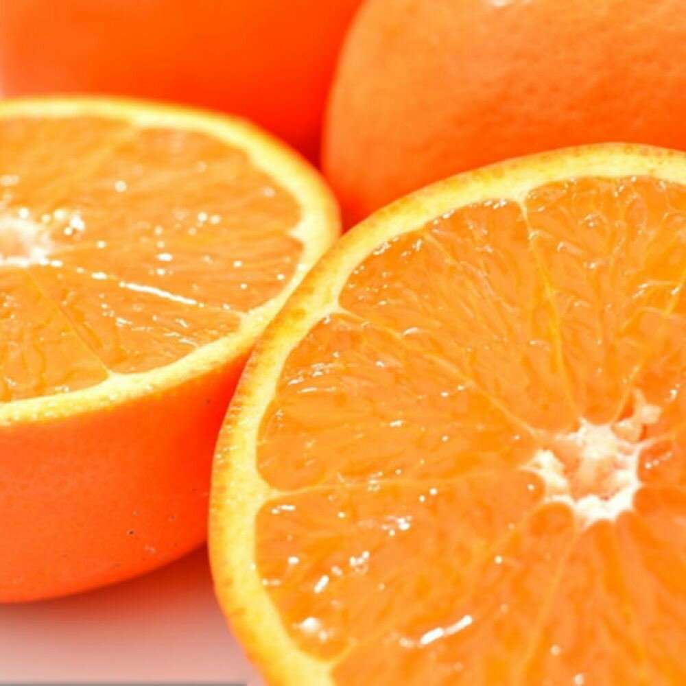 【ふるさと納税】［濃厚オレンジ］和歌山有田産セミノール約3kg(サイズ混合 秀品)★2026年4月中旬頃より順次発送［TM212］ | フルーツ 果物 くだもの 食品 人気 おすすめ 送料無料 サムネイル3