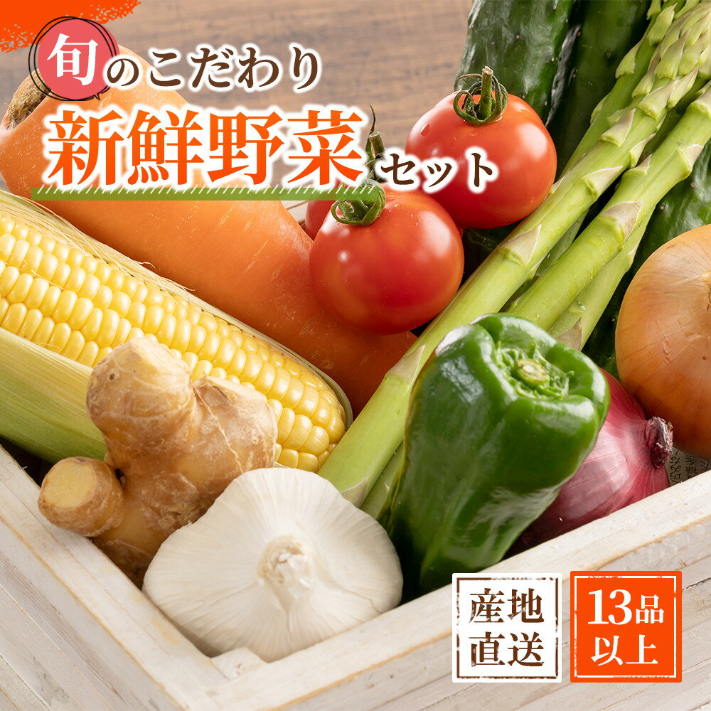 旬の新鮮野菜セット 大満足な13種以上【野菜詰め合わせ】 | 野菜 やさい 食品 人気 おすすめ 送料無料