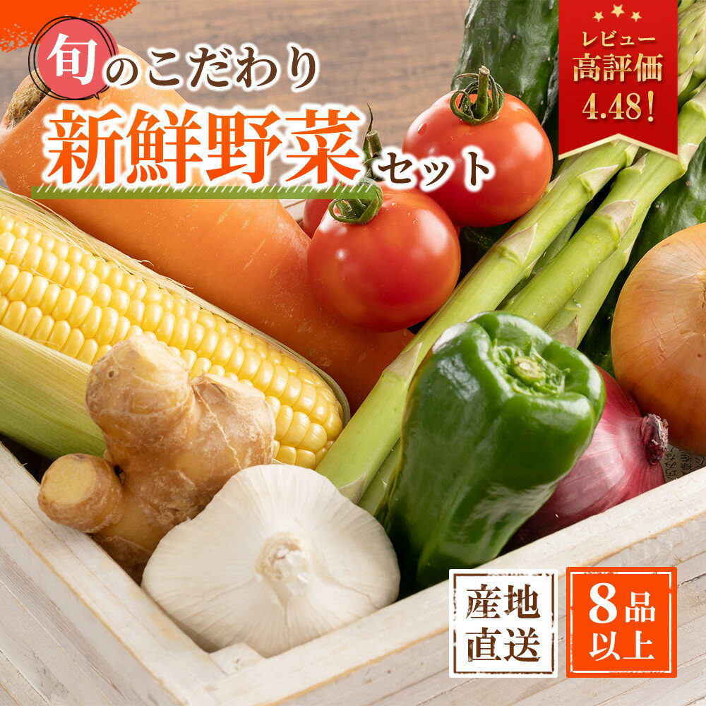 旬の新鮮野菜詰め合わせ 8種以上【野菜セット】 | 和歌山県 印南町 和歌山 野菜 季節の野菜 季節の果物 セット 産地直送 新鮮 野菜農家 季節 サラダ やさい 送料無料 詰め合わせ おまかせ 返礼品 支援 楽天ふるさと 納税 産直 国産 お楽しみ おまかせセット