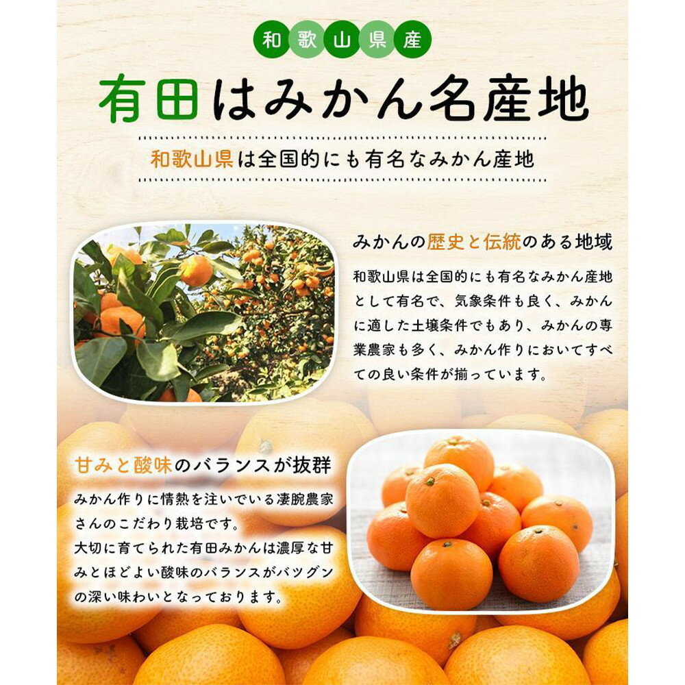 【ふるさと納税】【選べる容量・発送月】ご家庭用 完熟有田みかん 約3～10kg 【2025年10月発送～】 農家直送 訳あり | フルーツ 果物 くだもの 食品 人気 おすすめ 送料無料 サムネイル2